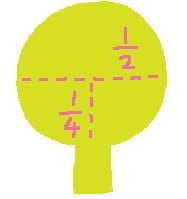 粉類を1/2杯または1/4杯量るとき