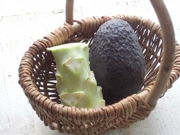 ブロッコリー＆アボカドのパックでしっとり肌に！女医が教える“ゼロ円”ビューティー