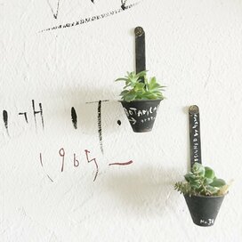 曲げるだけでOK！セリアのカロリースプーンで壁掛けグリーンポッドを簡単DIY