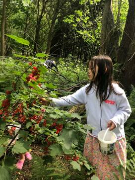 北欧のベジタリアン事情。魚を見て泣く中学生男子も…