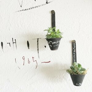 並べて飾っても