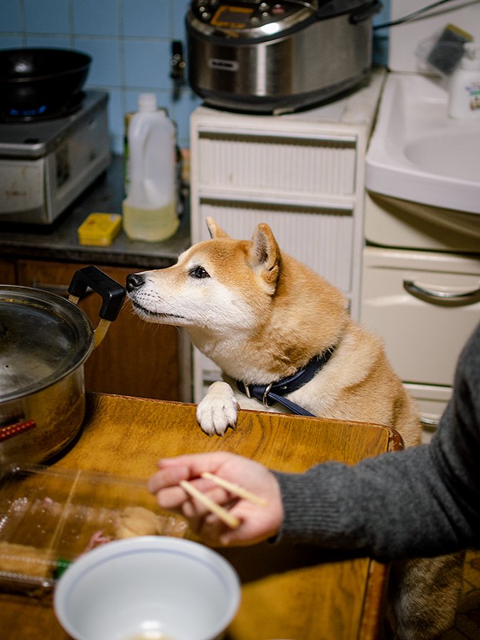 妹が晩ご飯を食べる間は見守るように起きていた