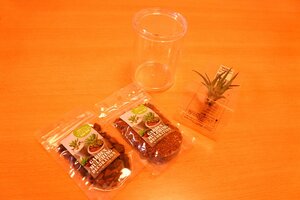 エアプランツインテリアのつくり方