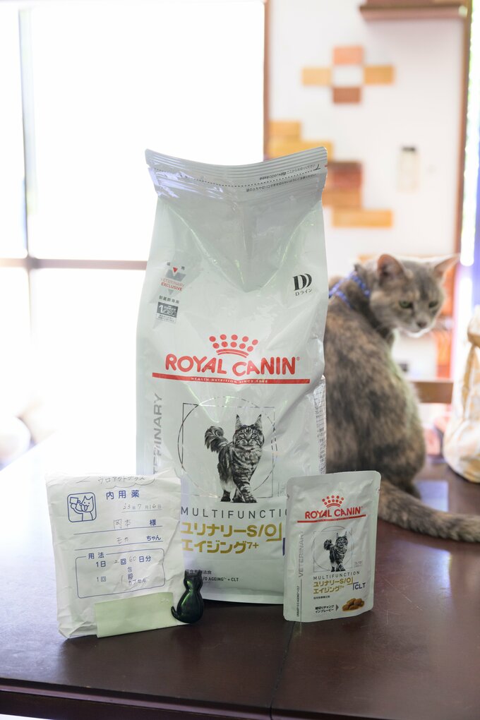 愛猫の腎臓病用療法食と薬