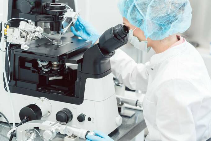 体外受精の成功率