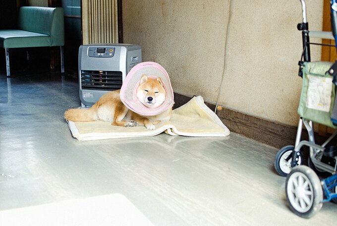 歳を重ねるごとにますます好奇心旺盛に
