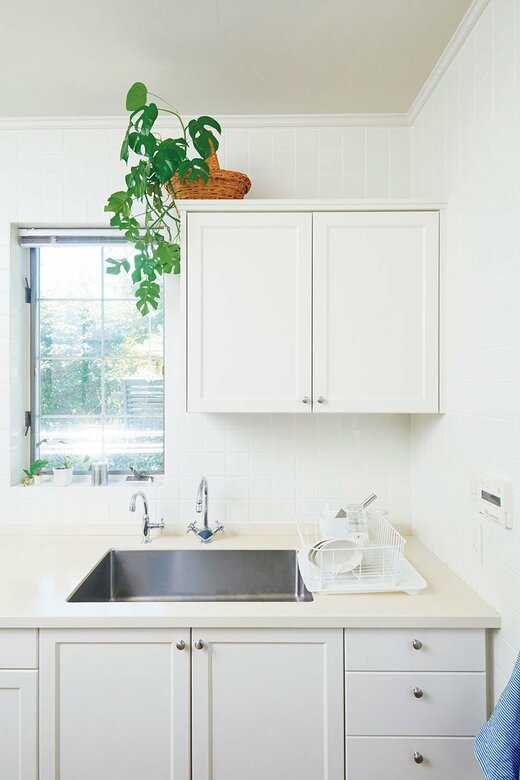 棚上から「たらすグリーン」