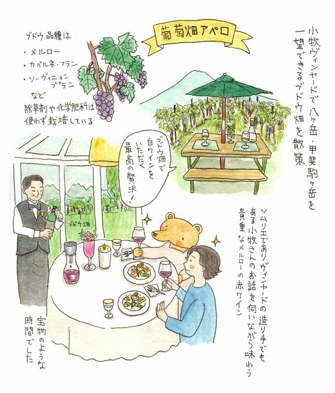 ブドウ畑イラスト