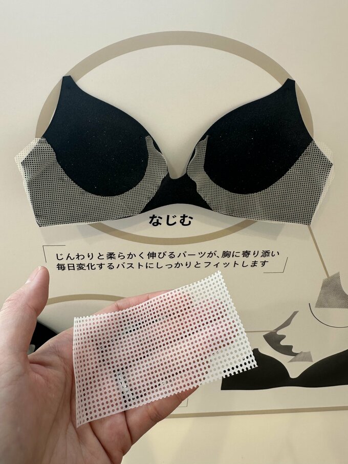 ブラジャーのシート