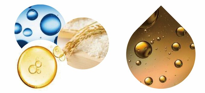 浸透型セラムカプセルとL22のイメージ図