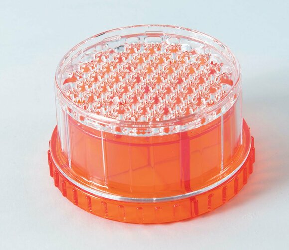 delijoy ふりふりチップス