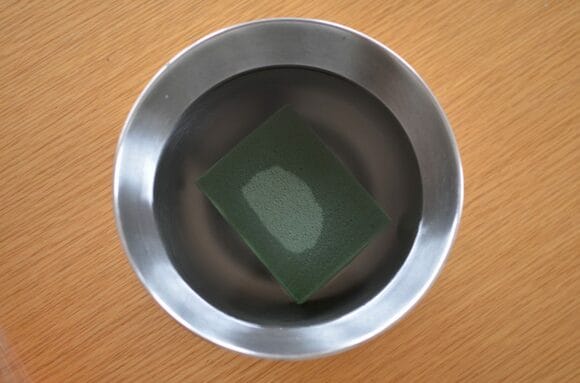 空のボウルにオアシスを入れて上から水をかけるのもNGです!