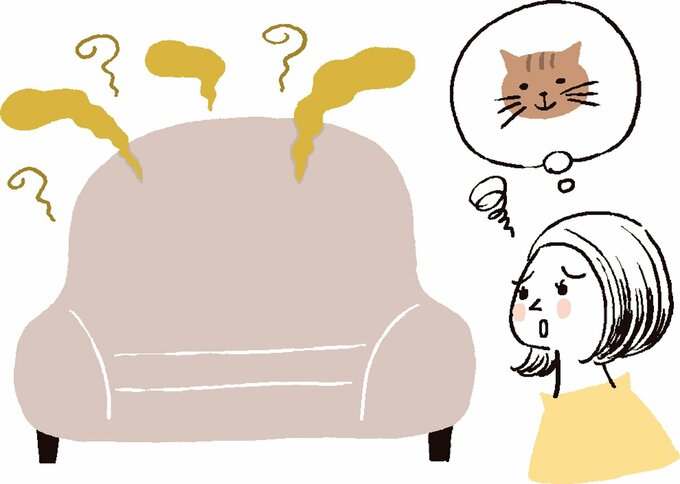 ペットのにおいがついたソファーに悩む女性