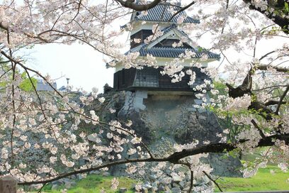 熊本地震を経験してわかった。災害時の主婦を助けてくれる意外な三種の神器