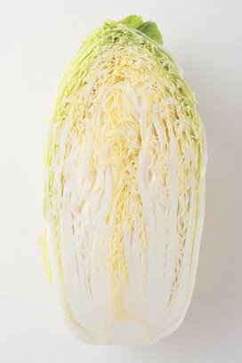芯に注目！旬のおいしい白菜をお店で選ぶコツと正しい保存法