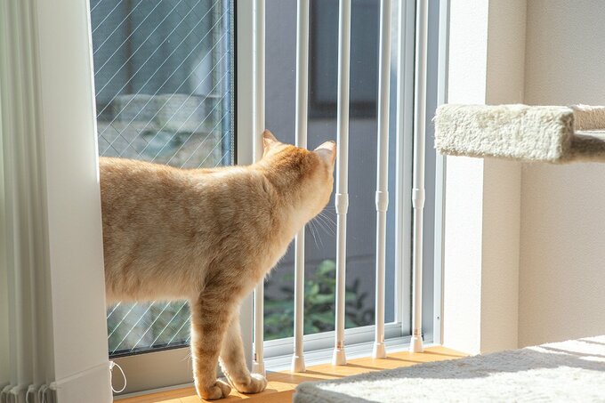 窓からの落下防止