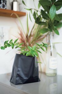 そのまま水やりもOK