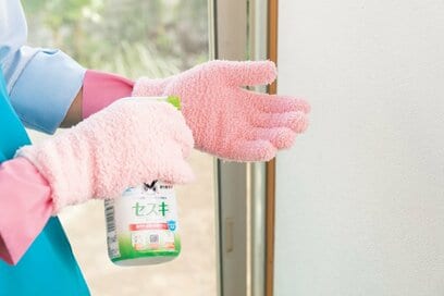 窓ガラスは「からぶき」でOK！家事えもん・100円グッズの大掃除術