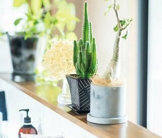 100円グッズで最愛キッチンに。居心地よく“きれい”が続くアイデア