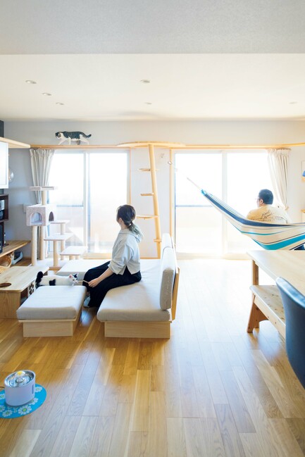 5匹のネコたちが、思い思いに過ごすリビング