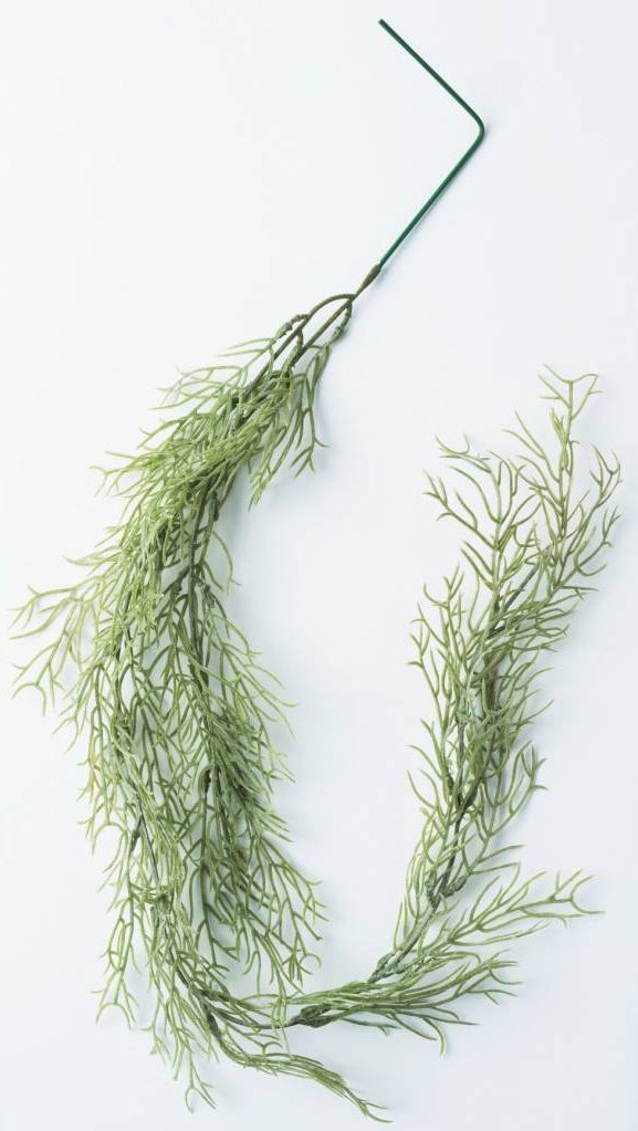 スパニッシュモス