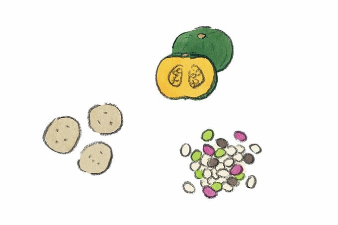 カボチャ、ジャガイモ、豆類のイラスト