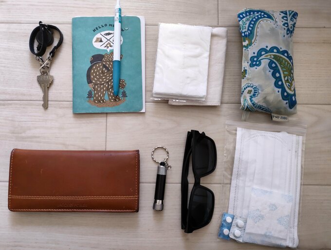 バッグの中に入っているもの12個。小物はチャック付き透明袋にまとめています