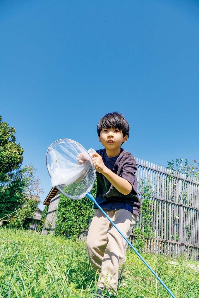 虫取りスポット