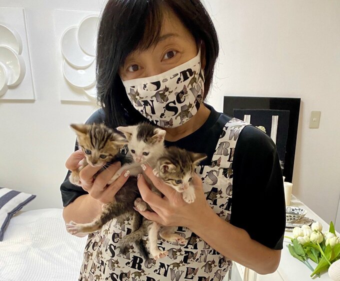 子猫を抱く川上麻衣子さん
