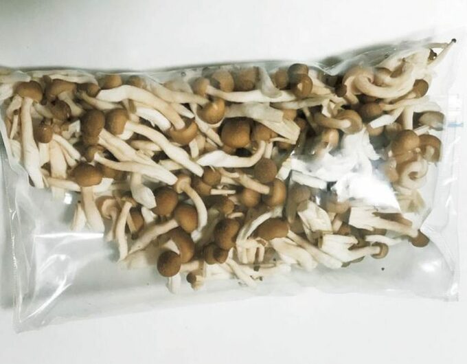 シメジやマイタケなどを合わせて冷凍している様子