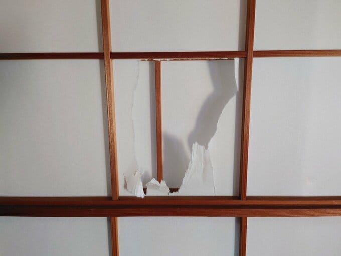 破れた障子紙