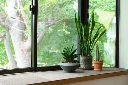 60代ふたり暮らし、捨て活がぐんぐんはかどる「最強の言葉」。実家じまいの経験が糧に