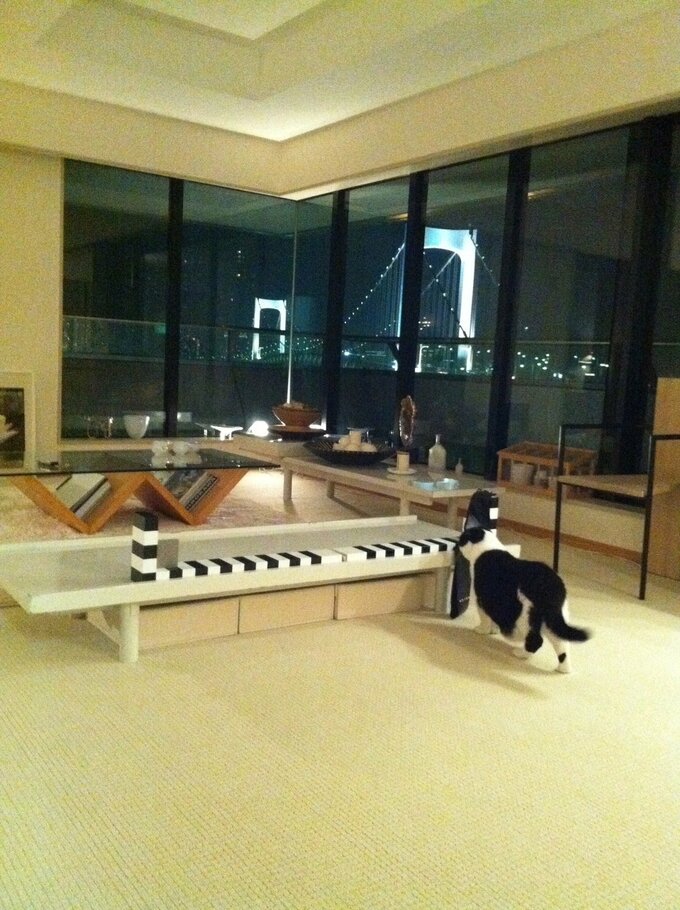 リビングが広い部屋