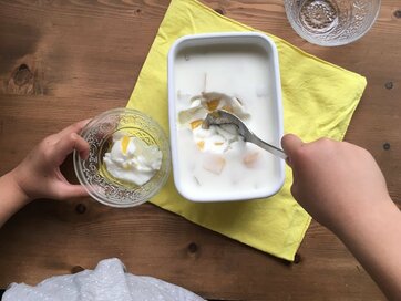 ほうろう容器でつくるヨーグルトゼリー！朝食前に準備、3時のおやつでいただきます！