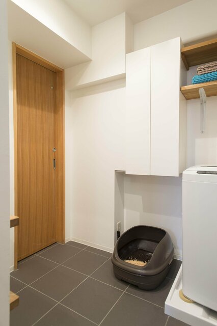 仕事から帰ったら「猫が居た」!? 気ままなロシアンブルーと暮らす家