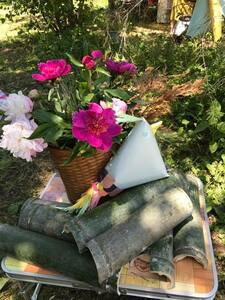 どんどん植物や虫を見る目が磨かれていきました