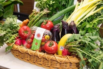 新鮮野菜やご当地パンも！ 鳥取・岡山のアンテナショップで見つけた銘品