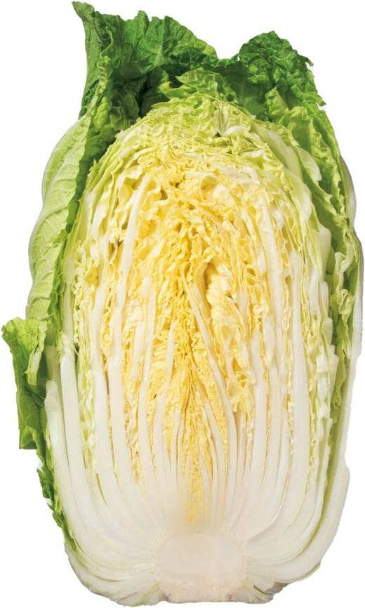 白菜