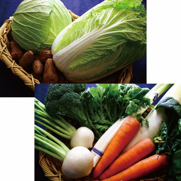 新鮮朝採れ野菜セット