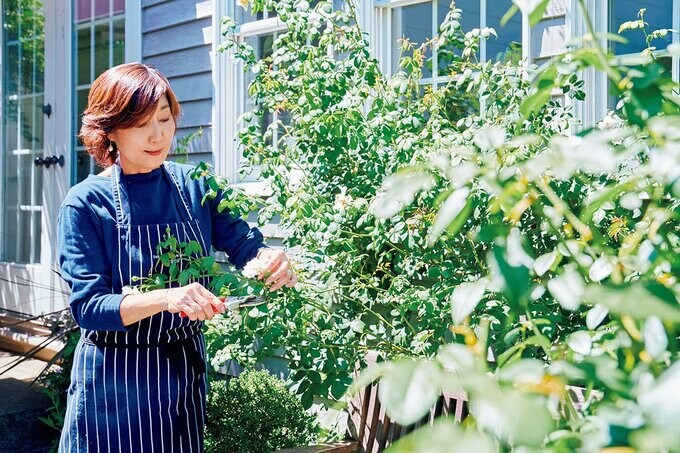 庭の手入れする女性