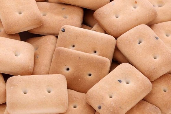 写真はイメージです