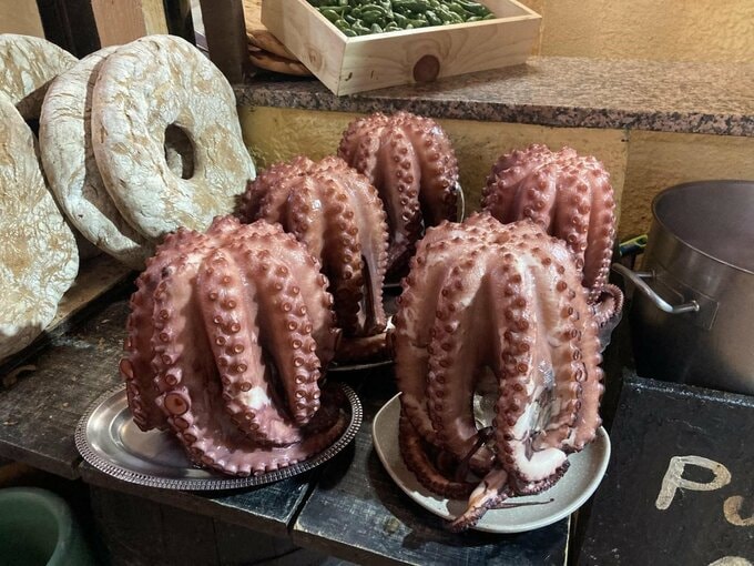タコ