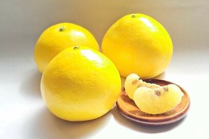 【SHOP】シャキッと甘い「文旦」を愛媛から直送。化学肥料を使わず、さわやかな果肉に《限定50箱》