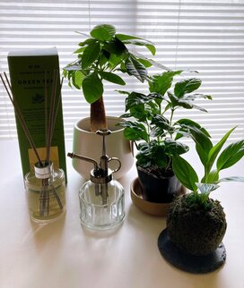 50代がダイソー「Standard Products」で買ったもの7つ。タオルや包丁の値段に驚き