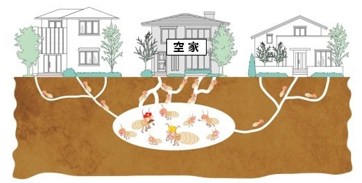 あき家は、害虫の温床となっている可能性が