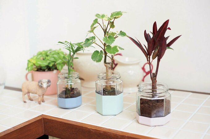 総菜ビンがバイカラーのさわやかなフラワーポットに