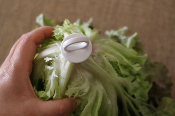 サニーレタスに野菜フレッシュキーパー