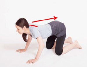 3と同様に背骨の間隔を意識