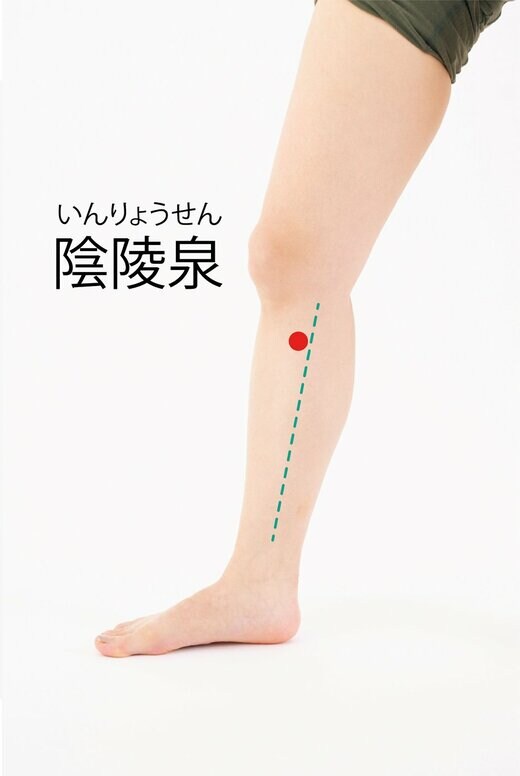 むくみに効くツボ「陰陵泉」
