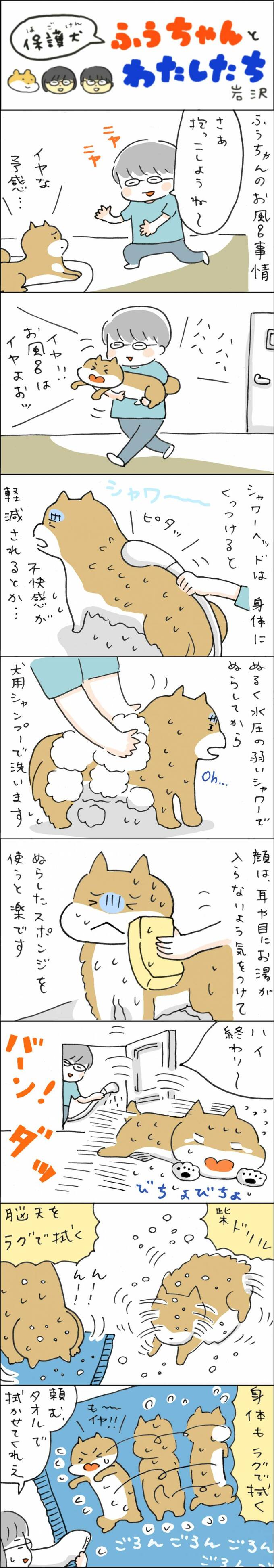 ふうちゃんのお風呂事情